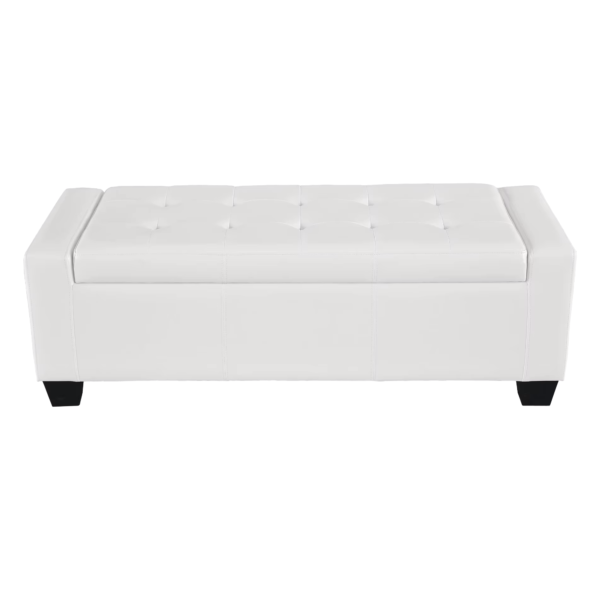 Ethan Home Modern Storage Bench